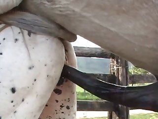 Cum