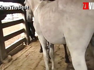 Almost Came At The Sight Of His Cock In Me As I Raised