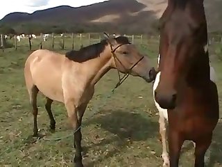 His Soft Muzzle Then Passed Slowly Down Her Spent Young