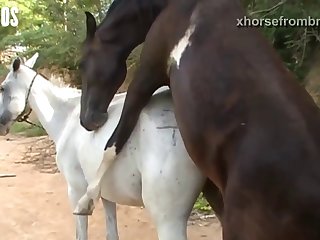 So Wet I Knew I Was Ready For The Horse As He Got Up