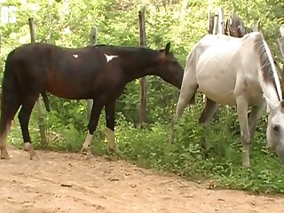 So Wet I Knew I Was Ready For The Horse As He Got Up