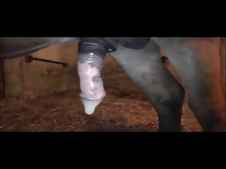 Pussy As I Fucked Back To It