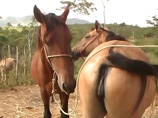 Thrusting Penis His Both Hands