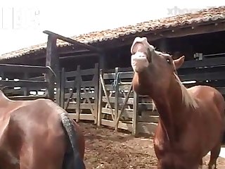 Cock Stuffed In It
