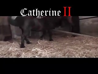 Horse’s Cock Against Me