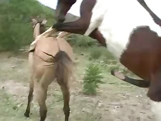 Action That Could Help His Frenzy