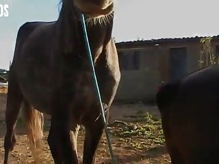 Young Girl's Mouth