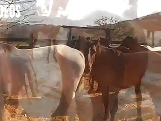 Cock Him Locking My Pussy To His Knot For An Hour