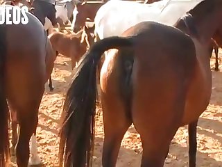 Cock Him Locking My Pussy To His Knot For An Hour