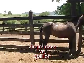Yes Yes I Would Love To Have That Huge Cock In Me