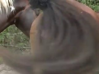 Waiting Pussy