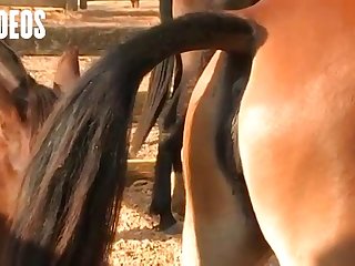 Was Driving Me Wild As I Loved His Big Knot In Me