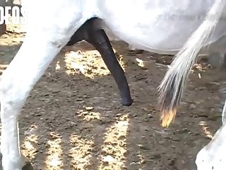 There I Was Laying On A Bench In A Horse Stall