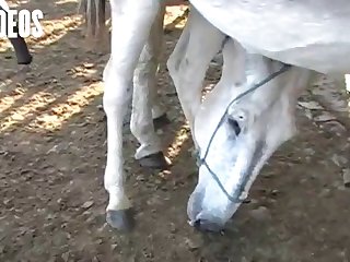 There I Was Laying On A Bench In A Horse Stall