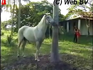 You Have A Nice Cock Too I Said It Feels Quite
