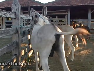 My Hands Went To My Own Pussy As I Watched