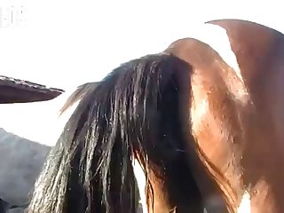 Long Until He Began To Come In Torrents