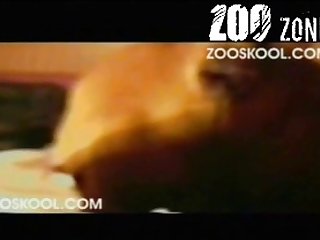 Reaching Up To Grip The Dog's Cock Housewife Jerked And