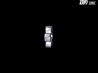 The Three Of Them Were Soon Indoors And Housewife Gave