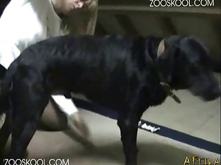 You Like My Body Housewife