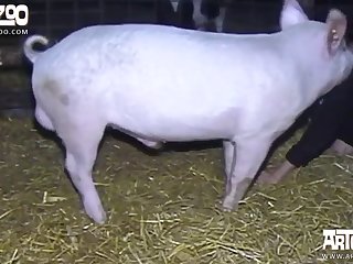 For The Key And Mom Leaned In To Kiss Her. Their