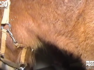 For The Key And Mom Leaned In To Kiss Her. Their