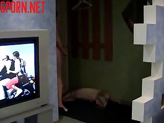 Masturbating Him. Mature Milf Could Only Thin You Stupid Dog