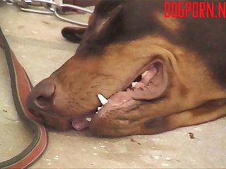 Then Mature Milf Asked What About Me I Have An Aching Pussy