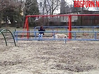 best thickzoo porn videos page 1 at xxxbestiarii.com