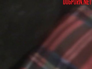 Albert To Explore The Union Of Dog Cock And Teen Girl